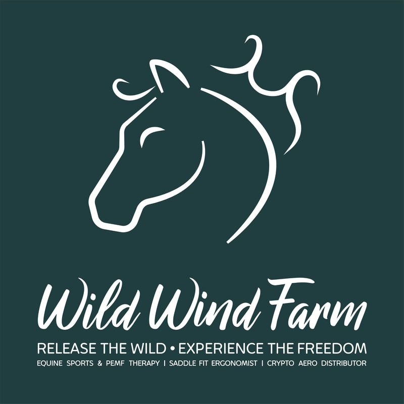 Wind Wind Farm - About us